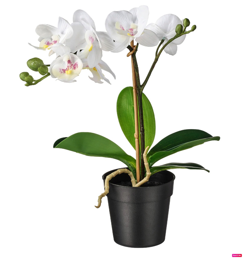 Fejka 9см цагаан цэцэг orchid