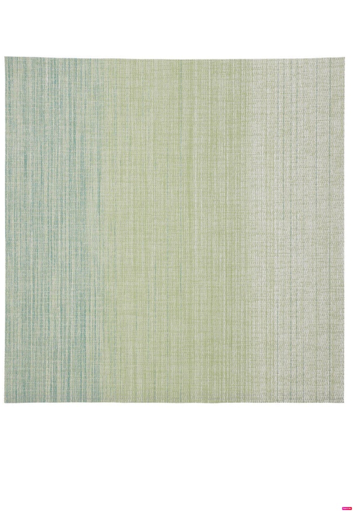 Nitori 35*45см ногоон алаг скачер