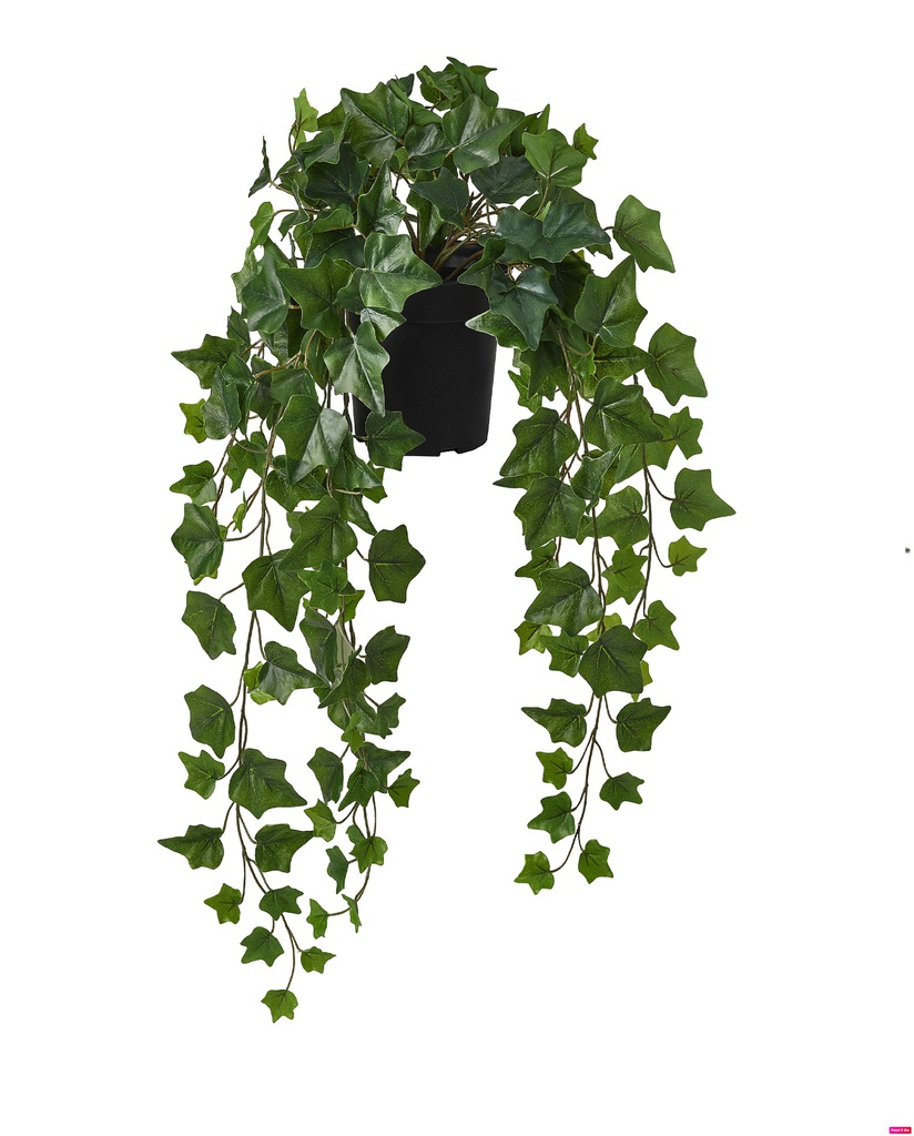 Fejka 15см мөлхөө цэцэг