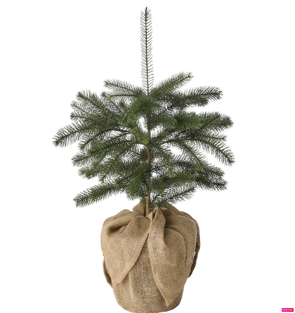 Vinterfint 12см гацуур