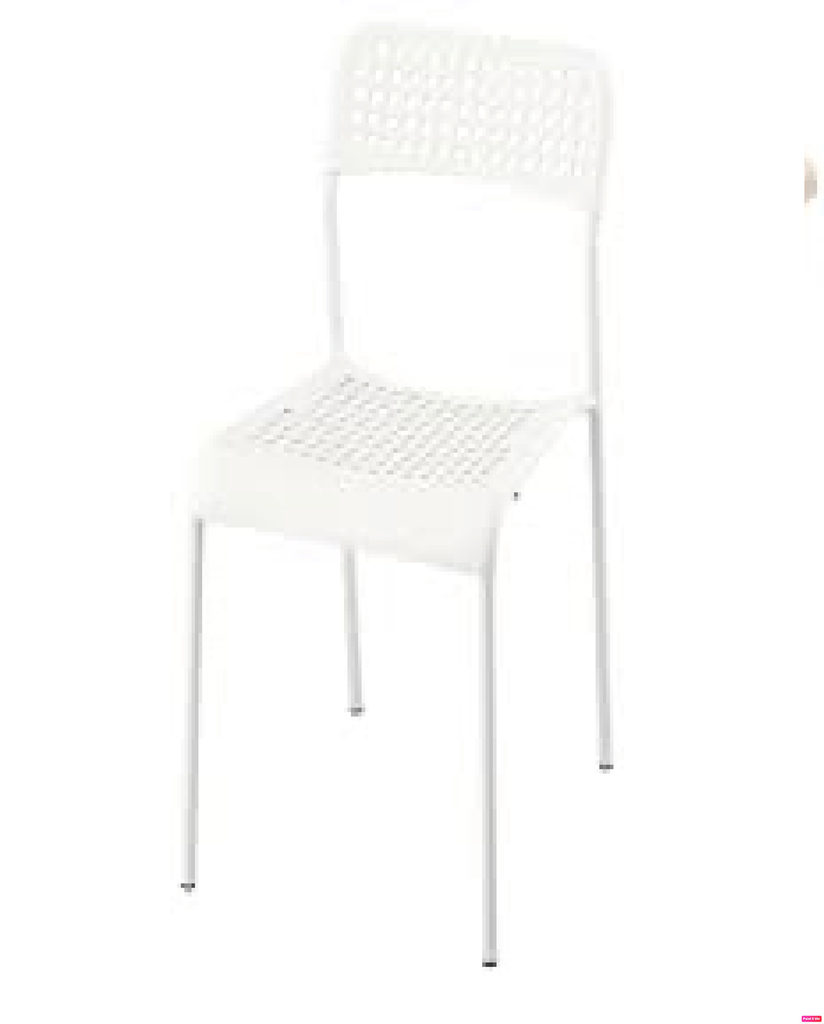 Sandsberg нүхтэй цагаан сандал