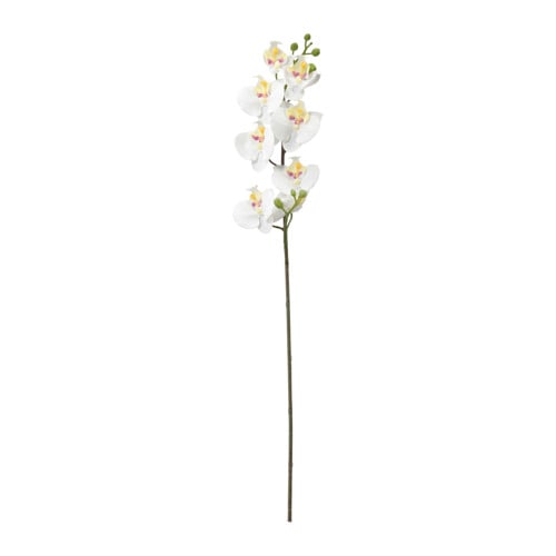 [903.335.99] Smycka 60см цагаан цахирмаа цэцэг