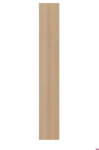 [004.349.65] Forsand 50*229 шаргал матт хаалга