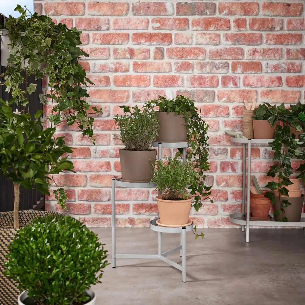 olivblad-plant-stand-in-outdoor-light-grey__1228945_pe915704_s5.webp