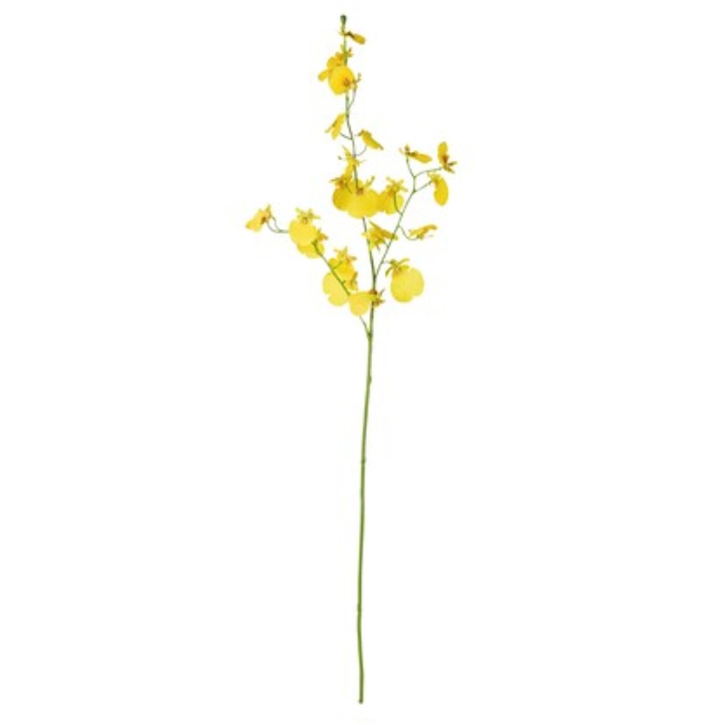 Smycka 65см шар цэцэг