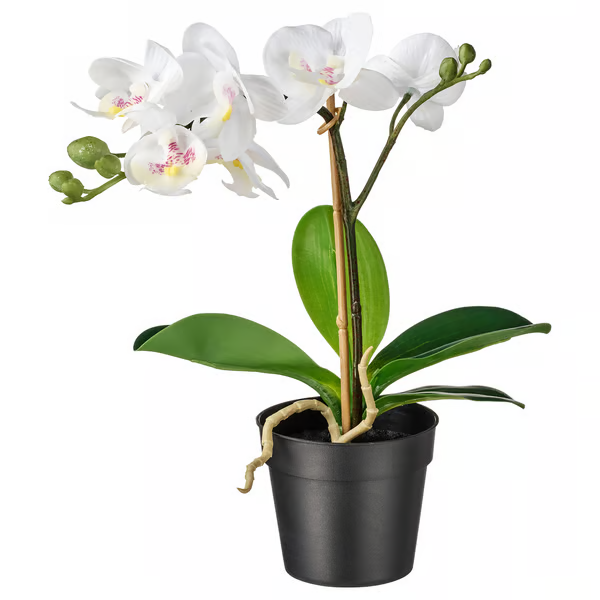 Fejka 9см цагаан цэцэг orchid