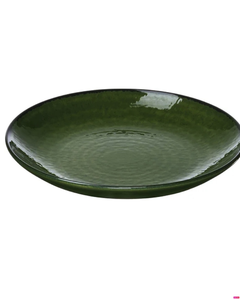 Pelarkaktus 26см ногоон таваг