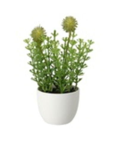 [604.761.65] Fejka 6см бөмбөгтөй жижиг цэцэг